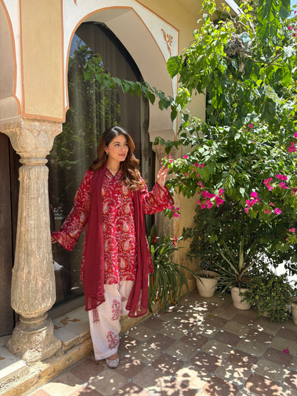 aarzu red farshi set