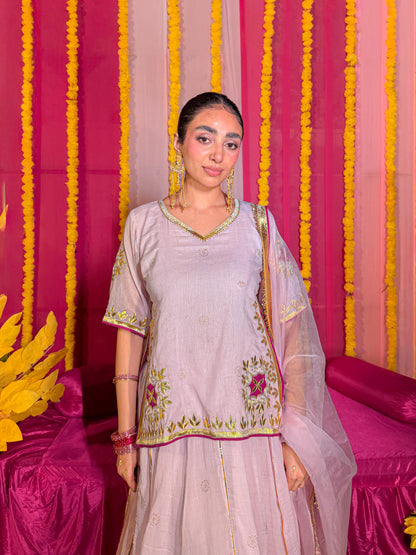 Baisa pink lehenga set