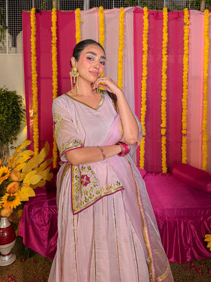Baisa pink lehenga set