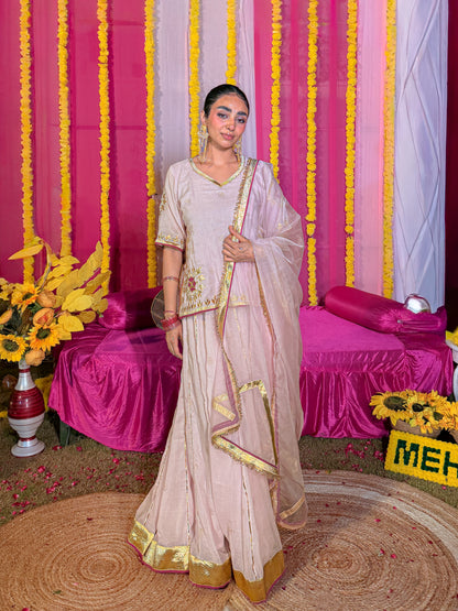 Baisa pink lehenga set