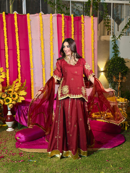 Baisaa maroon lehenga set