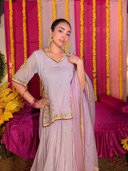 Baisa pink lehenga set